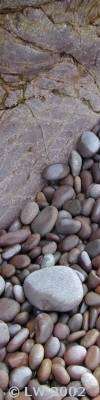 pebbles and waterworn rocks on a beach
